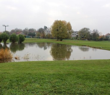 Výlov rybníku Návěsník a Navrátilek Vinary 26-27.10.2019