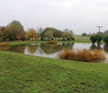 Výlov rybníku Návěsník a Navrátilek Vinary 26-27.10.2019