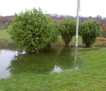 Výlov rybníku Návěsník a Navrátilek Vinary 26-27.10.2019