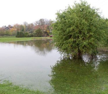 Výlov rybníku Návěsník a Navrátilek Vinary 26-27.10.2019