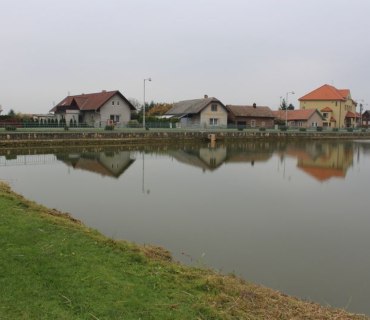 Výlov rybníku Návěsník a Navrátilek Vinary 26-27.10.2019
