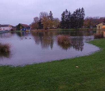 Výlov rybníka Navrátilek ve Vinarech 22.10.2022