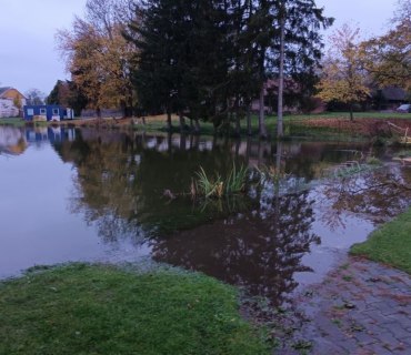 Výlov rybníka Navrátilek ve Vinarech 22.10.2022