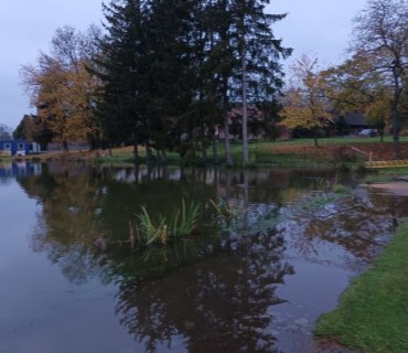 Výlov rybníka Navrátilek ve Vinarech 22.10.2022