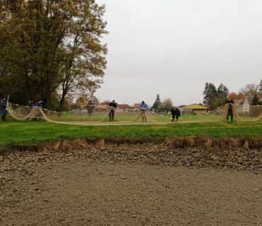 Výlov rybníka Navrátilek ve Vinarech 22.10.2022