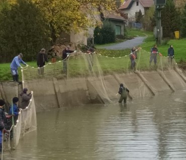 Výlov rybníka Navrátilek ve Vinarech 22.10.2022