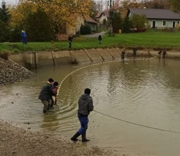 Výlov rybníka Navrátilek ve Vinarech 22.10.2022