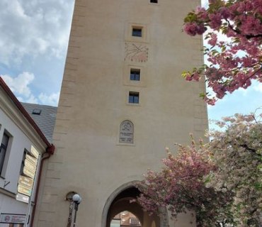 Výlet seniorů do Pelhřimova, Lipnice nad Sázavou a Číhošti 12.5.2022
