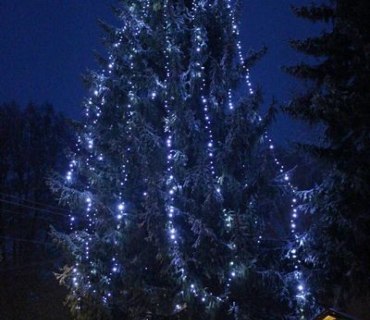 Rozsvícení vánočního stromu v Janovicích 1.12.2023
