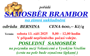Samosběr brambor na zimní uskladnění Volanice