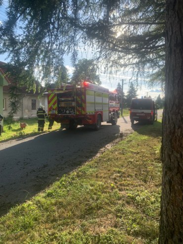 obrázek v textu