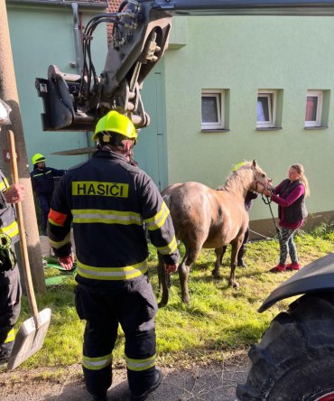 obrázek v textu