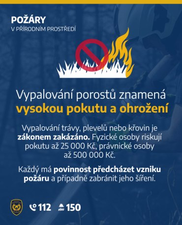 obrázek v textu
