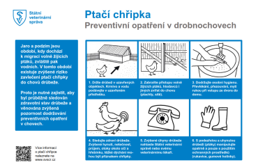 Ptačí chřipka - preventivní opatření v drobnochovech před ptačí chřipkou